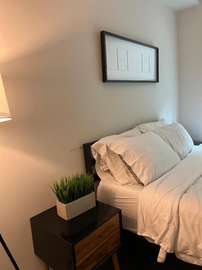Lux Apt, Near Beach And Ucla! 洛杉矶 外观 照片